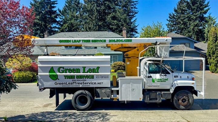 green-leaf-tree-service-truck Green Leaf Tree Service Truck